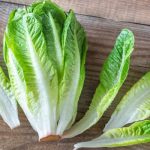 Romaine Lettuce