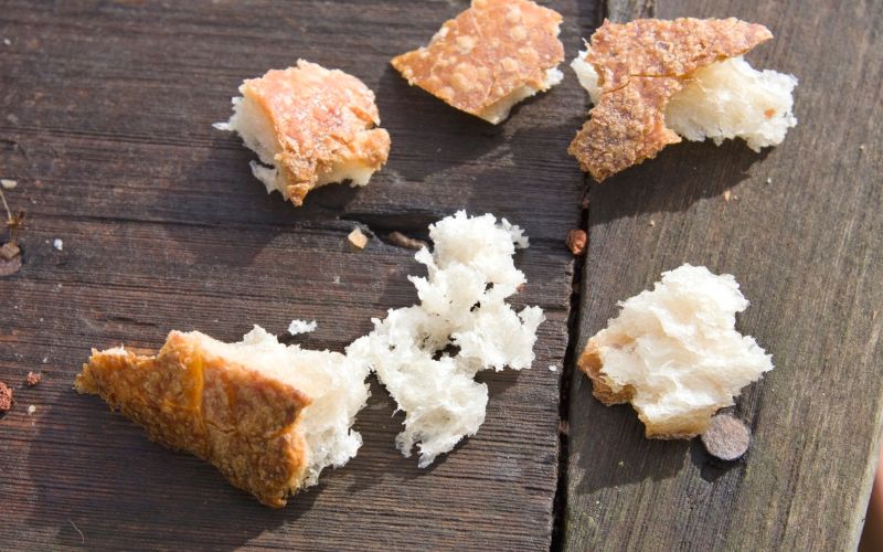 Torn pieces of bread